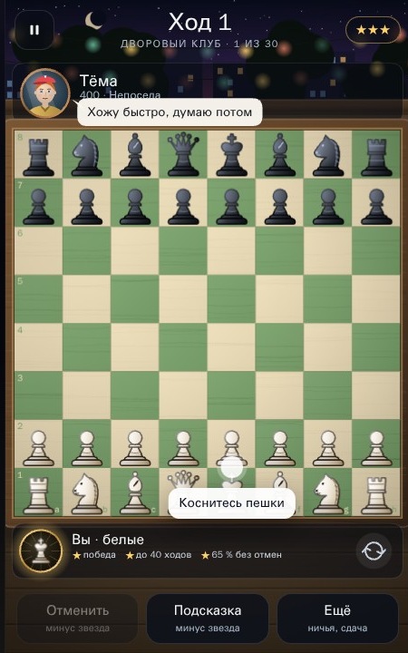 Шахматы — Игровой процесс и интерфейс